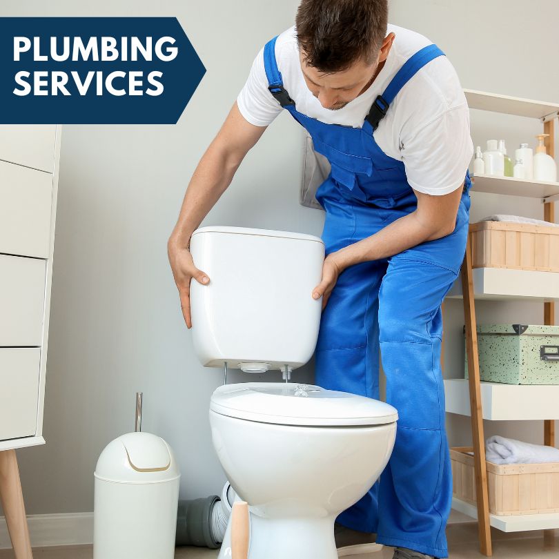 Plumbing Company in Wentworth, MO